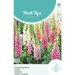 New Horti Tops Vingerhoedskruid Mix