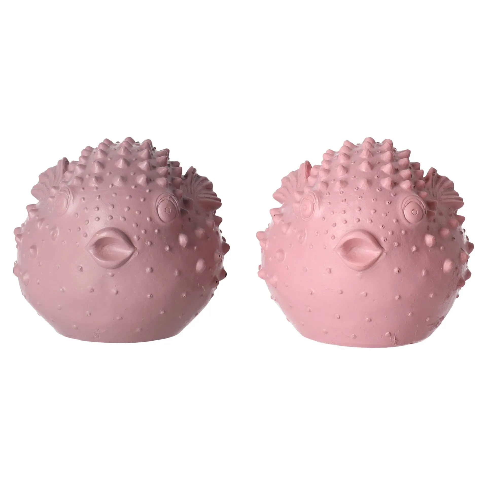 vis-van-polyresin-16-x-12-x-10-RJQDbqRd-0.webp Online Natural Collections Vis Van Polyresin 16 X 12 X 10 Cm