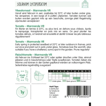 New Horti Tops Vleestomaat