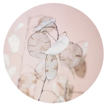 Sale Natural Collections Wanddecoratie Rond 38 Cm