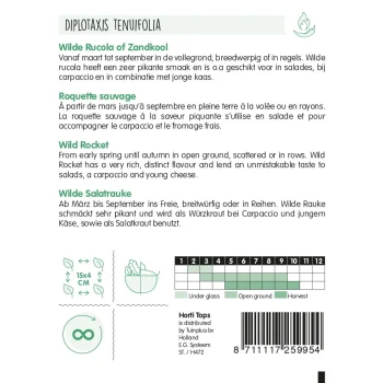 Hot Horti Tops Wilde Rucola Zaad
