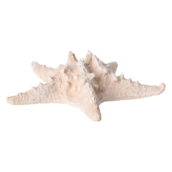 Sale Natural Collections Zeester 19 Cm 2 Assorti