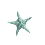 Fashion Natural Collections Zeester 19 Cm Blauw, 2 Assorti