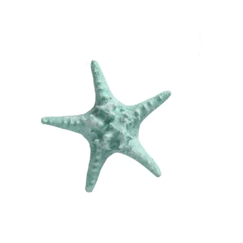 Fashion Natural Collections Zeester 19 Cm Blauw, 2 Assorti