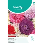 Hot Horti Tops Zomeraster Koningin Der Hallen Mix