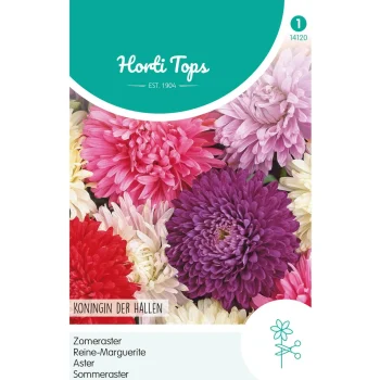 Hot Horti Tops Zomeraster Koningin Der Hallen Mix