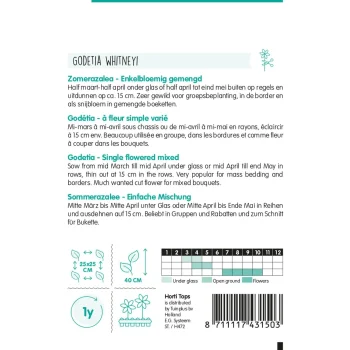 Clearance Horti Tops Zomerazalea Enkelbloemig Mix