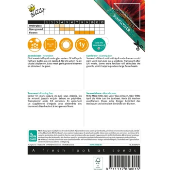 Clearance Buzzy Zonnebloem Avondzon