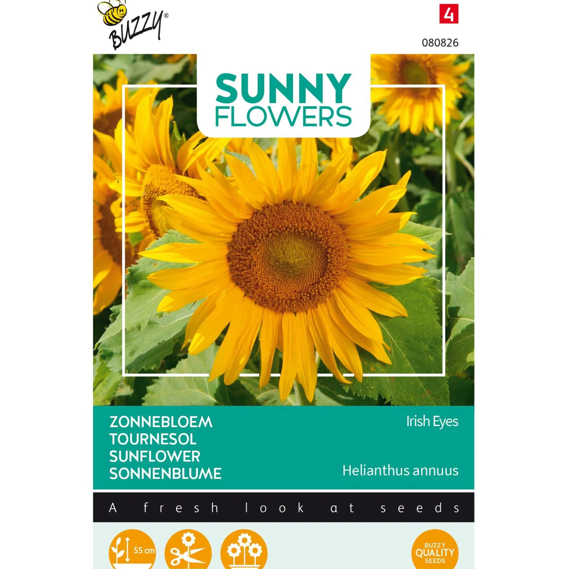 zonnebloem-irish-eyes-xXqTqJOh-0.webp Hot Buzzy Zonnebloem Irish Eyes