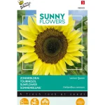 zonnebloem-lemon-queen-EiYdHWik-0.webp