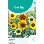 Clearance Horti Tops Zonnebloem Mix
