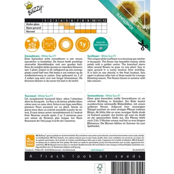 Fashion Buzzy Zonnebloem White Sun Of Day